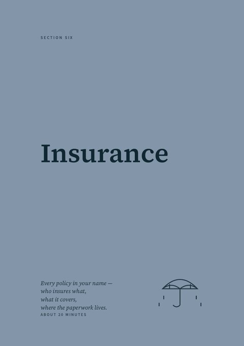 Section 6 divider — Insurance